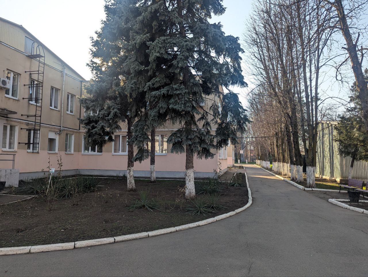 Фотография школы.